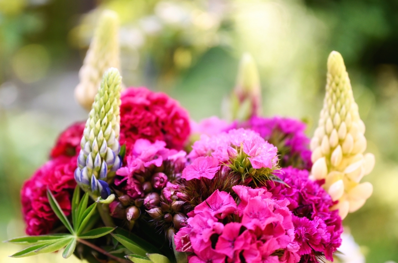 fleuriste-LE VAL-min_flowers-5369794